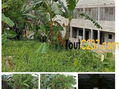 Terrain à vendre a Ndogbong Douala