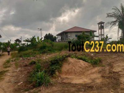 Terrain a vendre à Lendi Douala