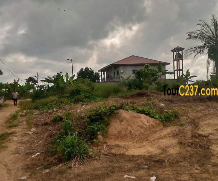 Terrain a vendre à Lendi Douala