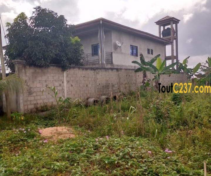 Terrain a vendre à Lendi Douala