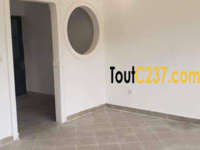 Studio moderne à louer à Kotto, Douala