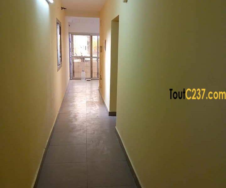 Appartement à louer à Bessengue Douala