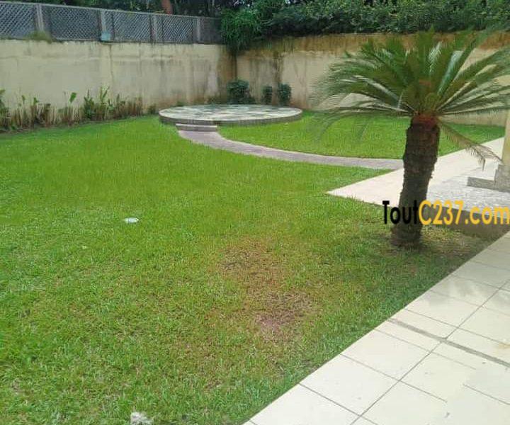 Maison en duplex à louer a Bonanjo