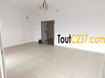 Appartement à louer à Bonamoussadi