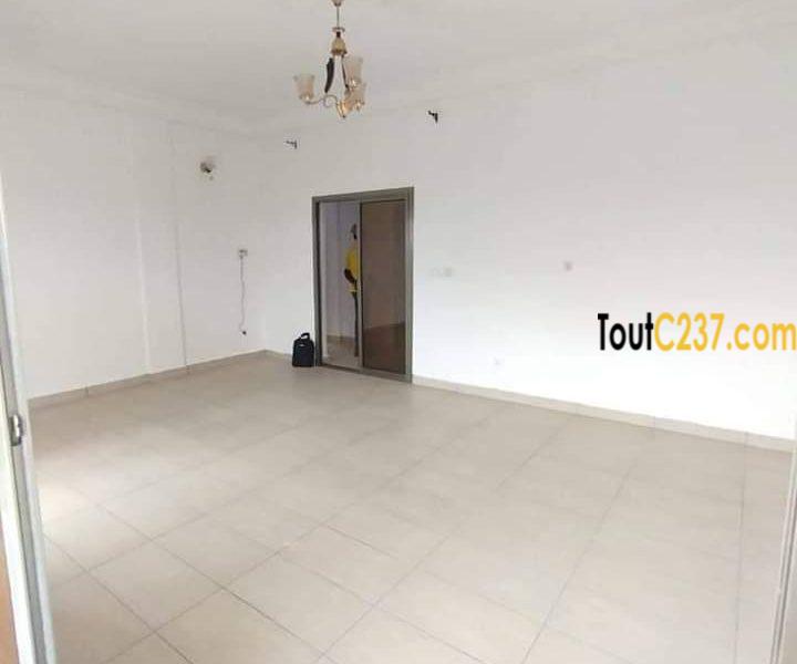 Appartement à louer à Bonamoussadi