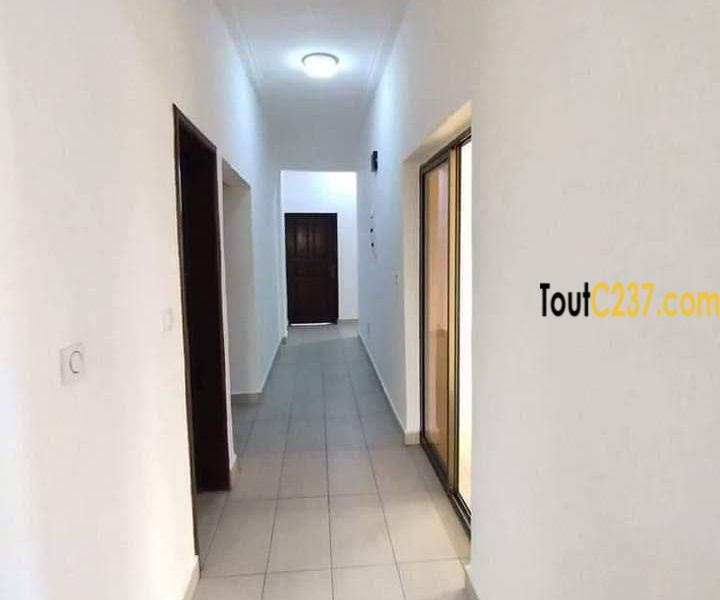 Appartement à louer à Bonamoussadi