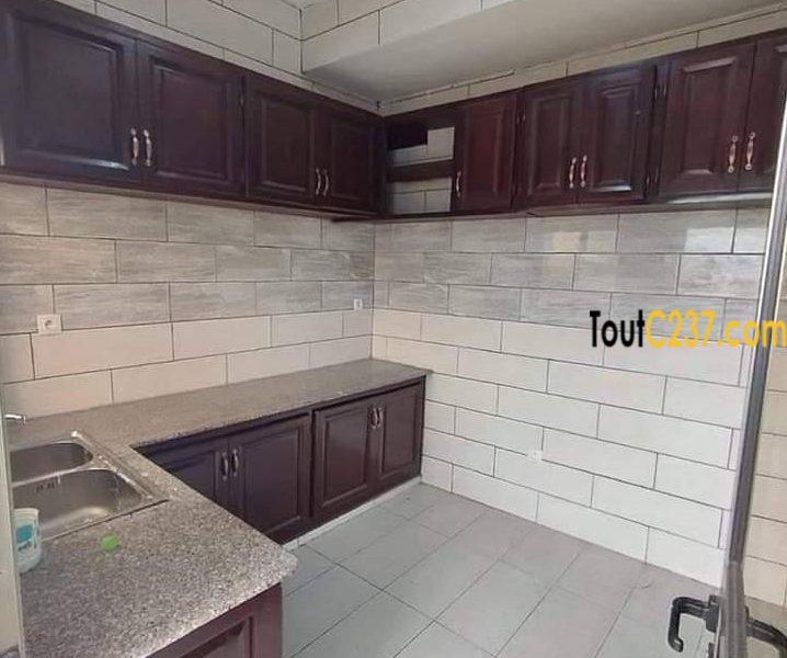 Appartement à louer à Bonamoussadi