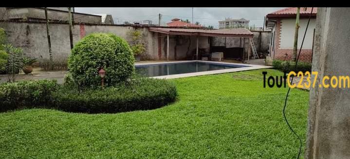 Maison en villa à louer à Youpwe Douala