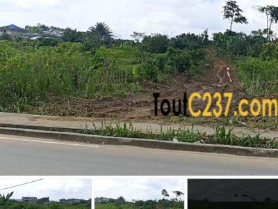 Terrain â vendre à Yassa Yaticka