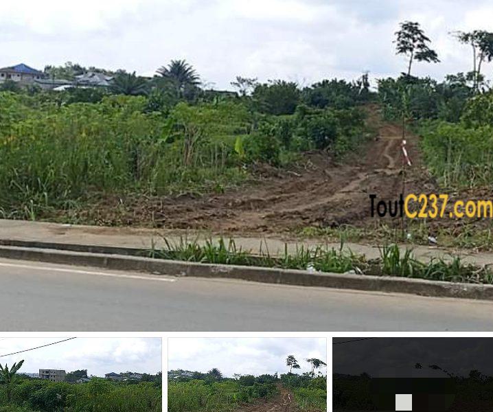 Terrain â vendre à Yassa Yaticka