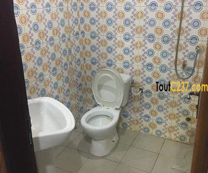 Appartement à louer à Kotto