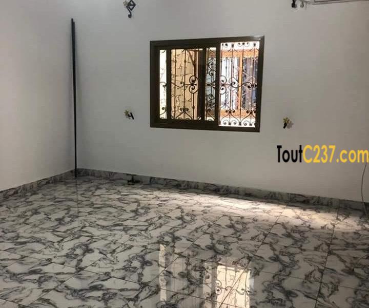 Studio moderne à louer à Bonamoussadi
