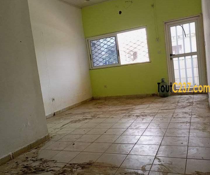 Studio Moderne à louer à Makepe