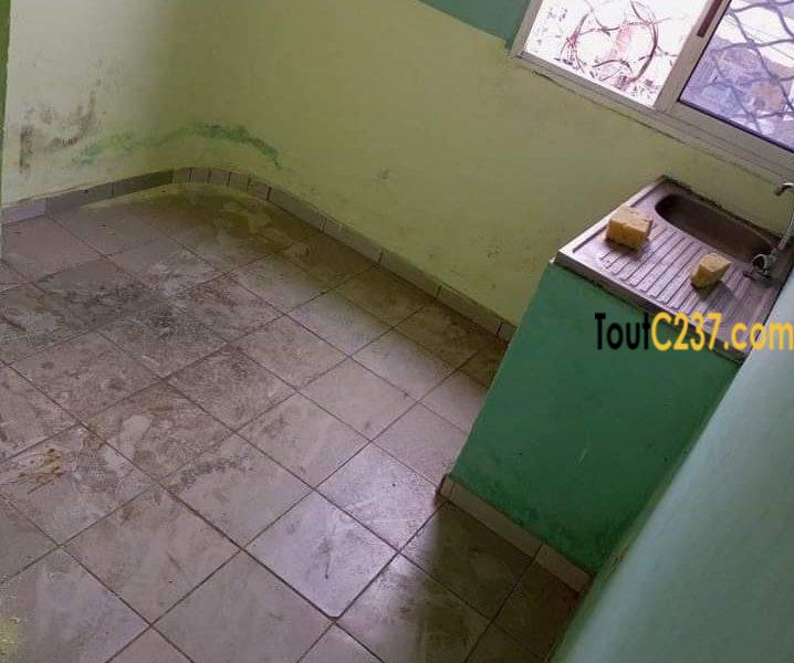 Studio Moderne à louer à Makepe
