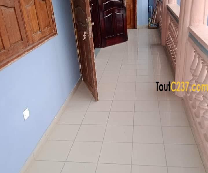 Appartement à louer à Deido