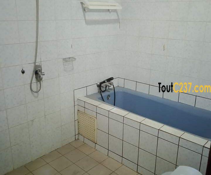 Appartement à louer à Deido