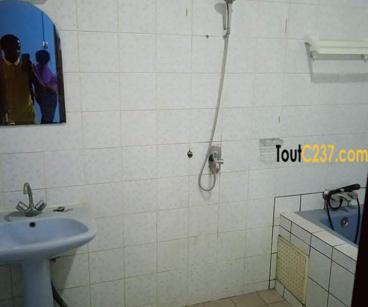 Appartement à louer à Deido