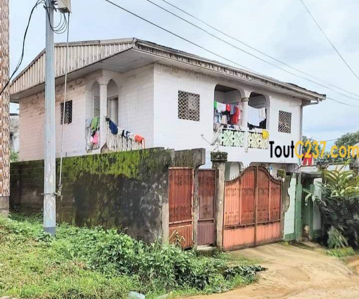 Maison à vendre a Beedi Douala