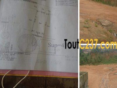 Terrain à vendre à Nyalla Nkolbong