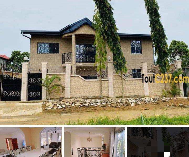 Duplex à vendre à Yassa Nkolbong
