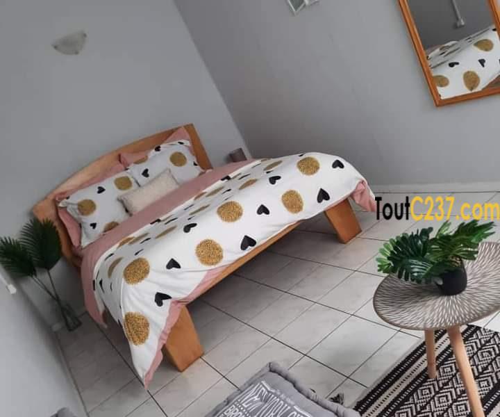 Studio meublé à louer à Bonanjo Douala