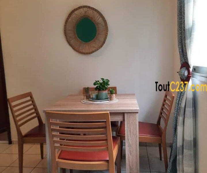 Studio meublé à louer à Bonanjo Douala