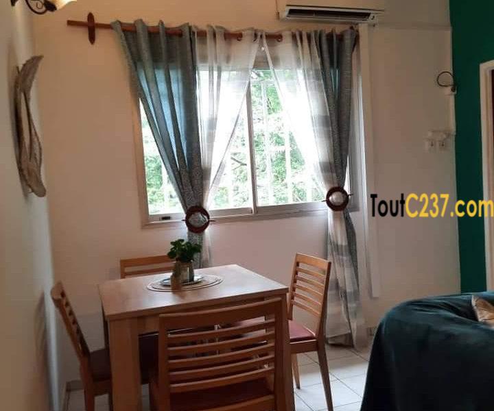 Studio meublé à louer à Bonanjo Douala
