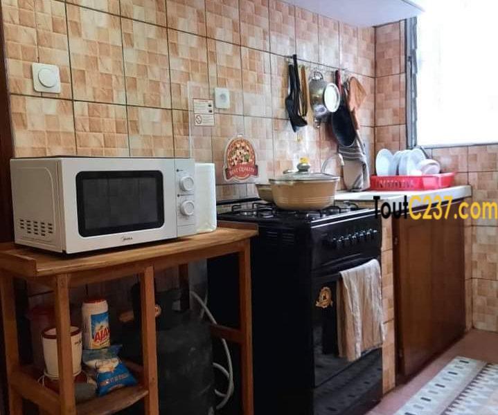 Studio meublé à louer à Bonanjo Douala