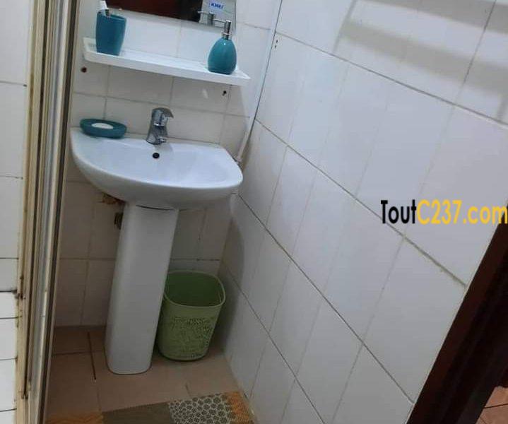 Studio meublé à louer à Bonanjo Douala