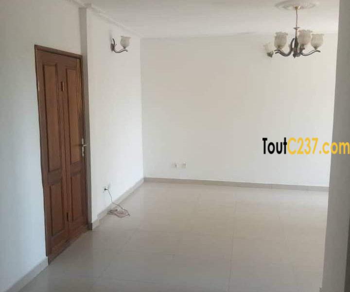 Appartement à louer à Bonanjo Douala