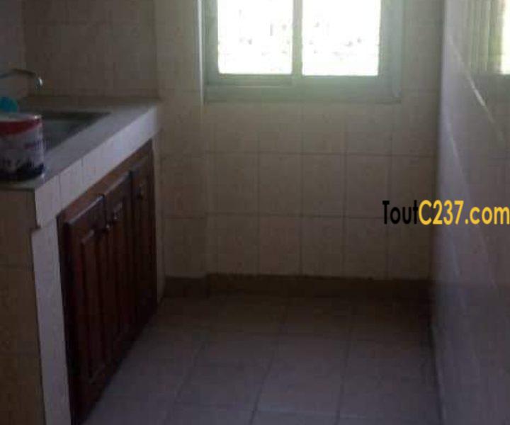 Appartement à louer à Bonanjo Douala