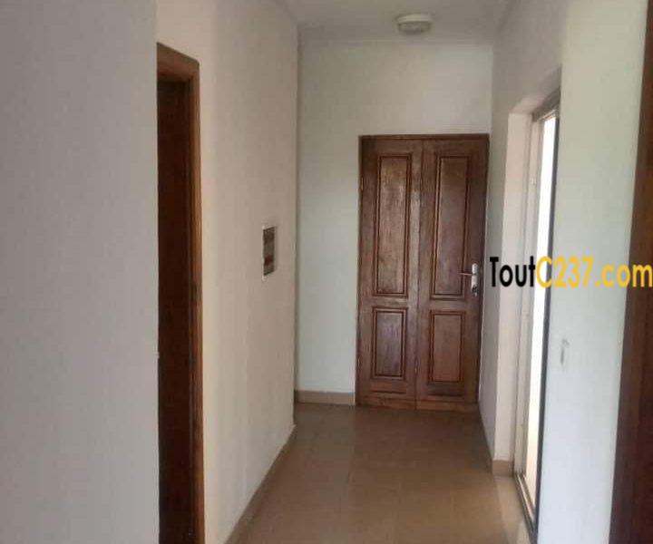 Appartement à louer à Bonanjo Douala