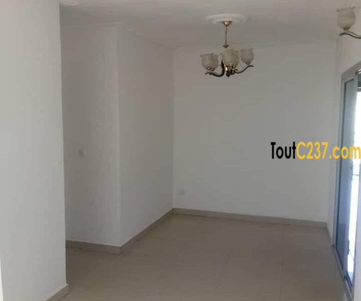 Appartement à louer à Bonanjo Douala