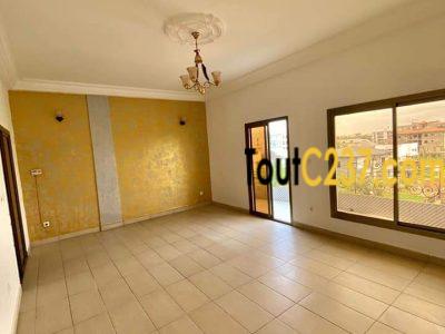 Appartement à louer à Bonamoussadi