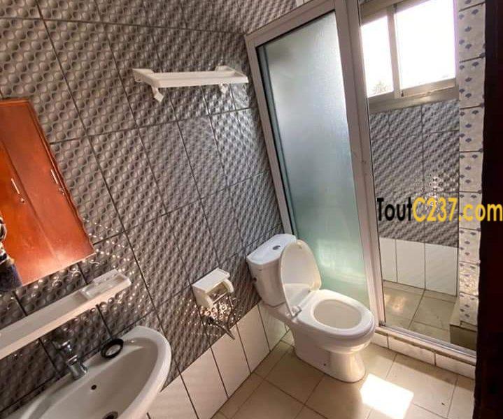 Appartement à louer à Bonamoussadi