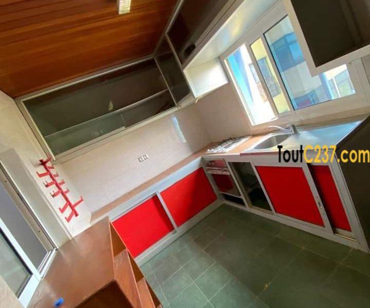 Appartement à louer à Bonapriso Douala