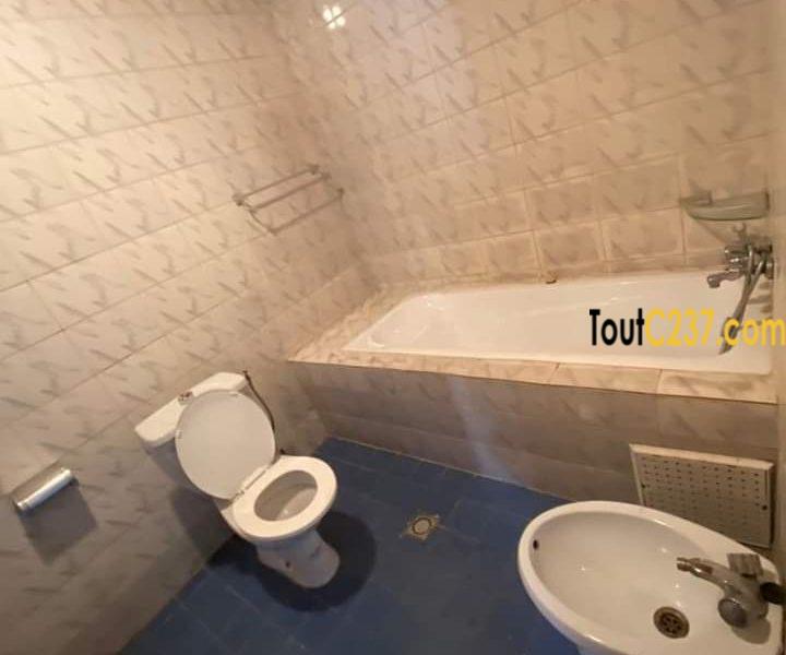 Appartement à louer à Bonapriso Douala