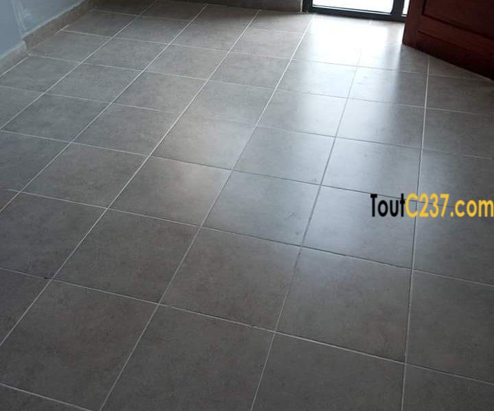 Immeuble neuf à louer à Bonapriso