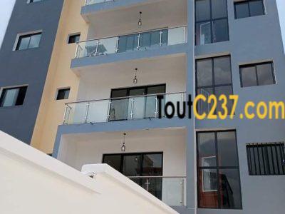 Immeuble neuf à louer à Bonapriso