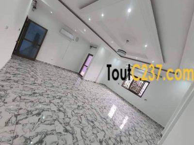 Appartement à louer à Bonamoussadi
