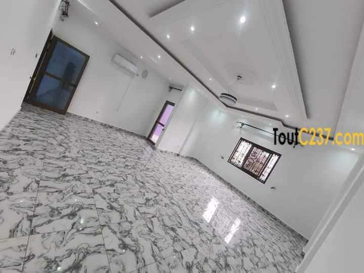 Appartement à louer à Bonamoussadi