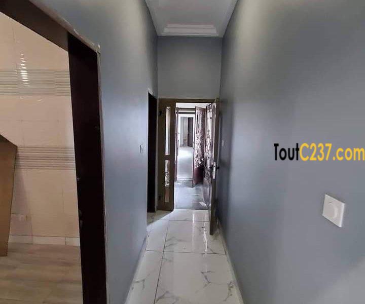 Appartement à louer à Bonamoussadi