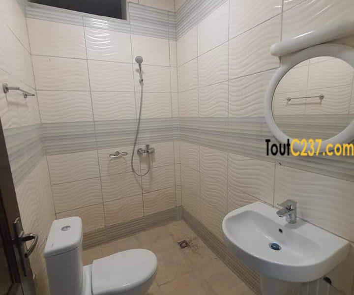Appartement à louer à Bonamoussadi