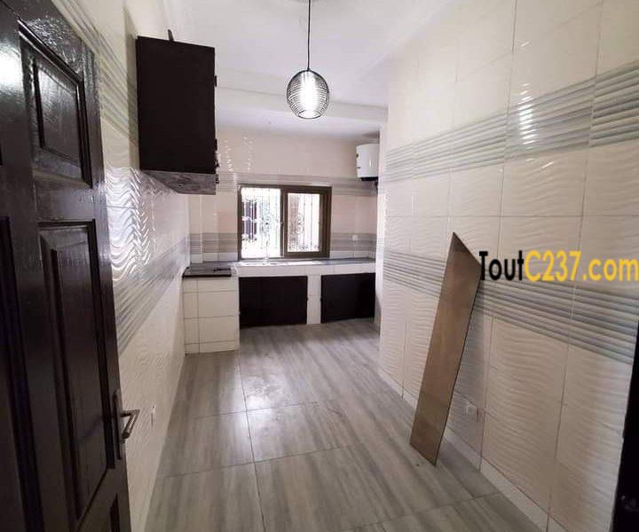 Appartement à louer à Bonamoussadi