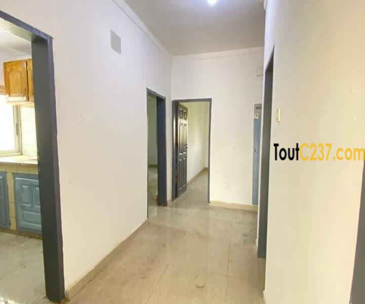 Appartement neuf à louer à Logbessou