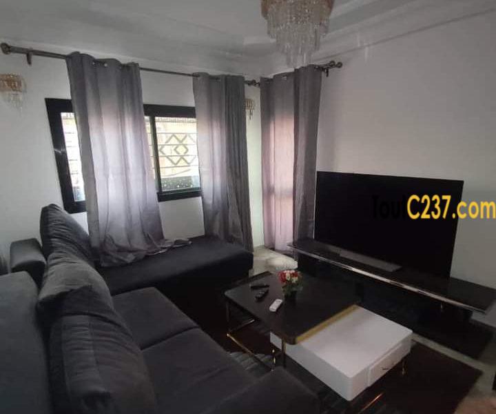 Studio Haut standing à Bonamoussadi