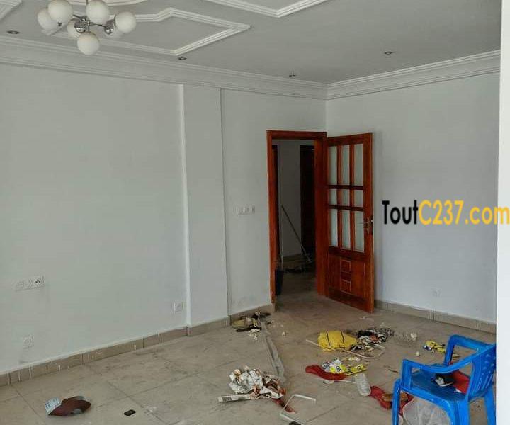 Appartements neufs à louer à Bonamoussadi