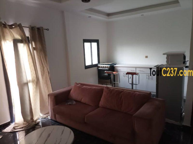 Grand studio moderne meublé à Louer