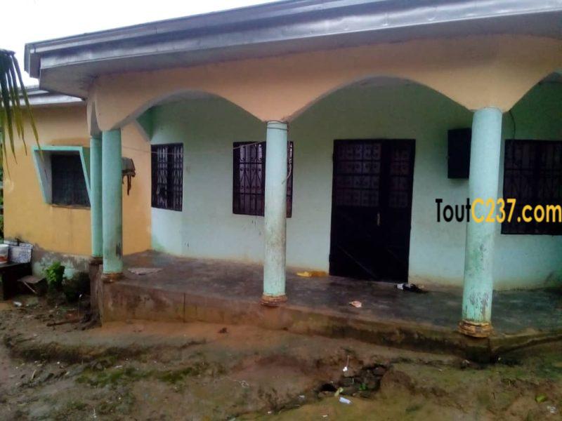 Maison à vendre à Pk12 Douala