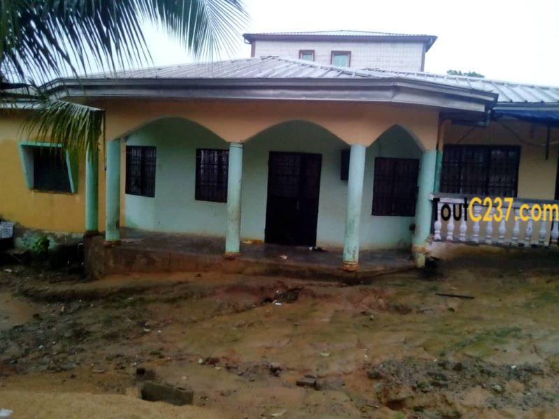 Maison à vendre à Pk12 Douala